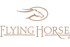 Flying Horse