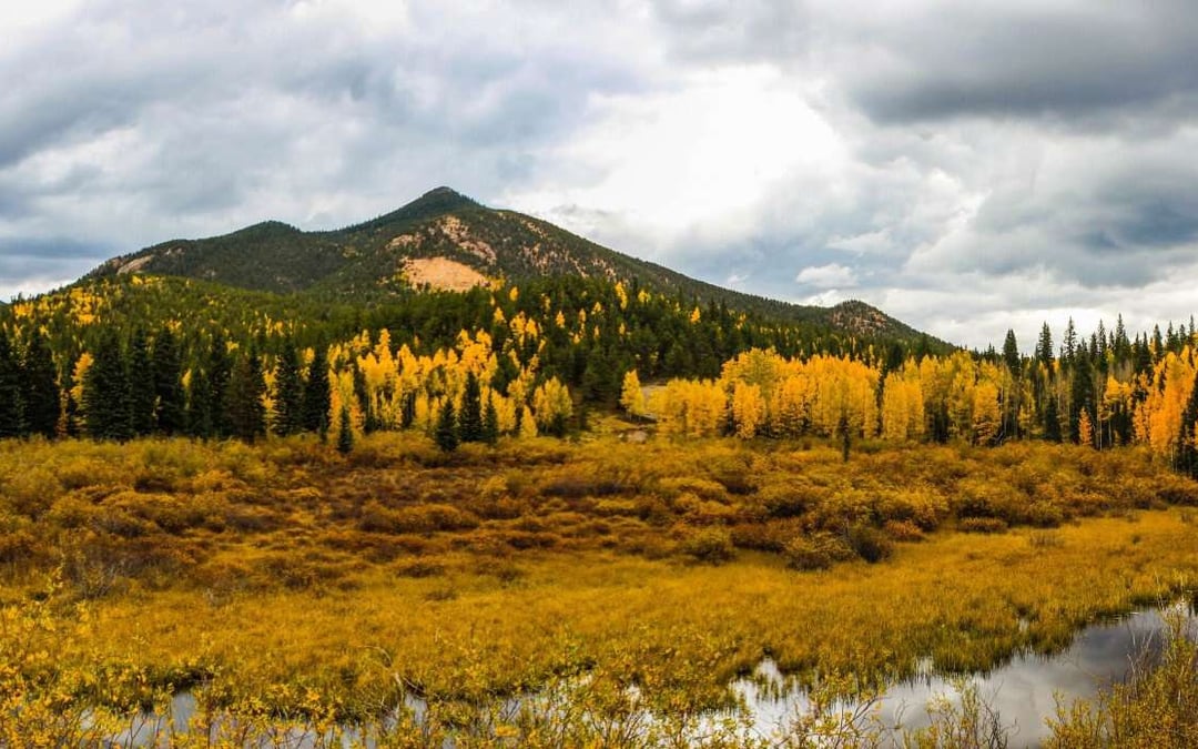Wolf Ranch Fall Festival