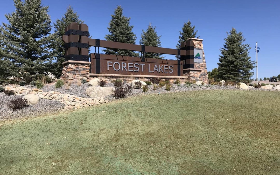 2019 Forest Lakes Homes Available for a Quick Move-In