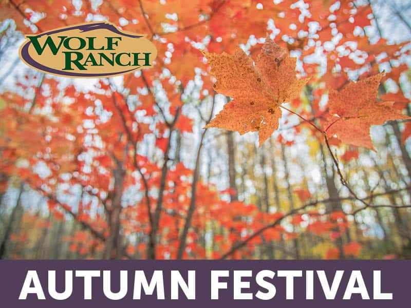 Wolf Ranch Autumn Festival on October 29, 2022