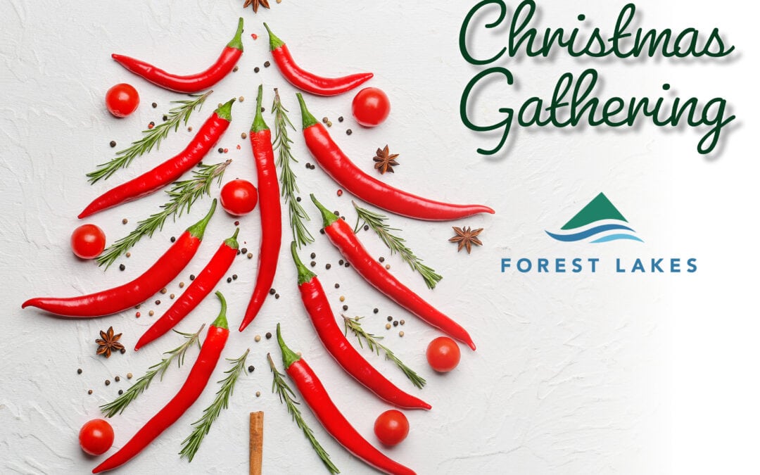 Forest Lakes 2022 Christmas Gathering